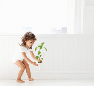 Girl With a Green Plant in a Pot