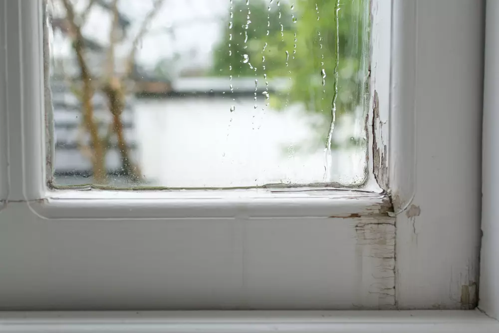 Should I Repair or Replace My Leaking Windows?