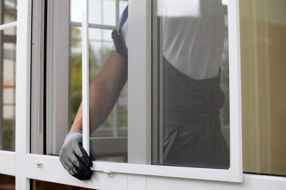 Is Replacing All Your Windows at Once the Best Choice?